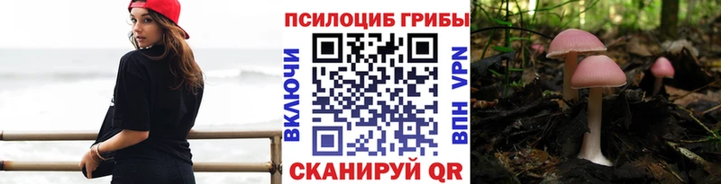 ссылка на мегу как войти  Красновишерск  Галлюциногенные грибы Magic Shrooms 